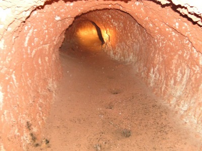 Estos túneles masivos fueron excavados por osos perezosos antiguos del tamaño de elefantes 3 -