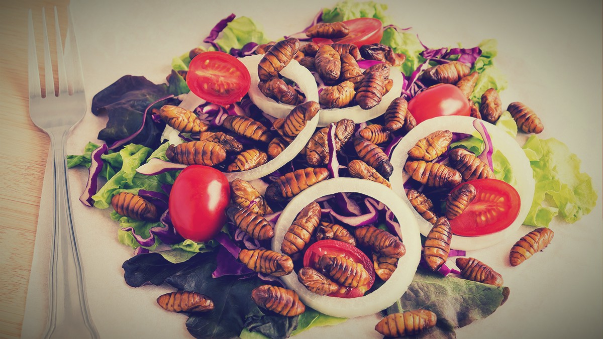 Insectos: ¿Son realmente el alimento del futuro?