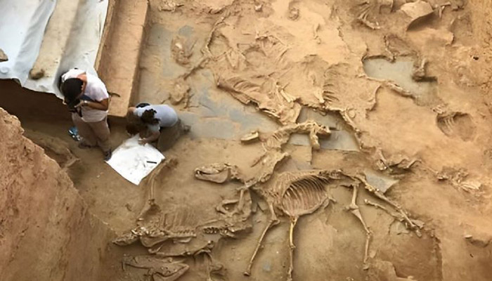 ¿Restos de la Atlántida? El hallazgo de reliquias de más de 2.500 años, arroja luz sobre el misterio 2 ¿Restos de la Atlántida? El hallazgo de reliquias de más de 2.500 arroja luz sobre el misterio