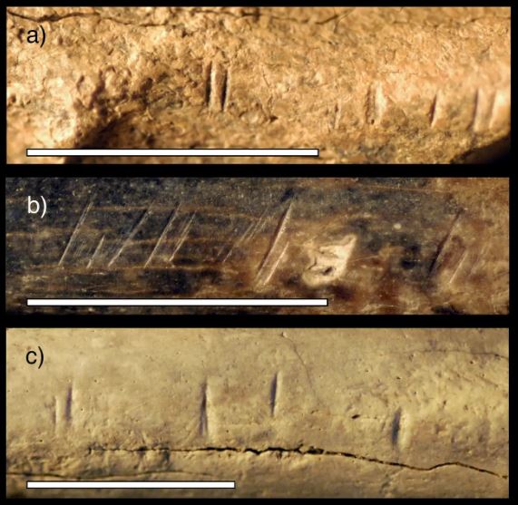 Esta puede ser la evidencia más temprana del canibalismo de los homínidos 2 -