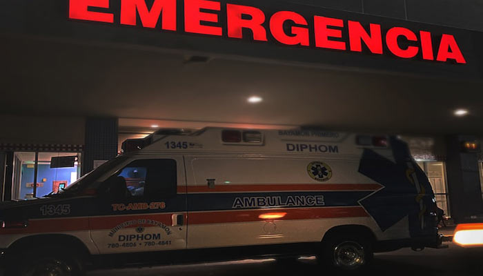 Arañas violinistas: Cómo actuar ante este peligroso insecto