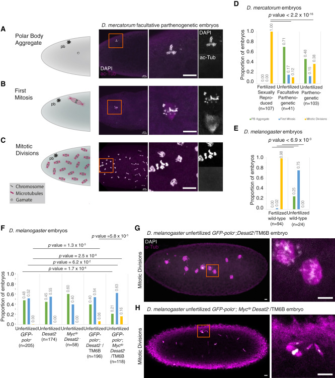 Crean al primer animal para tener crías sin aparearse