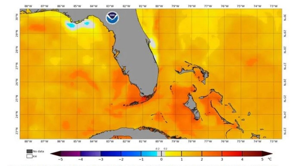 Científicos creen haber registrado el agua de mar más caliente de la historia 1 -