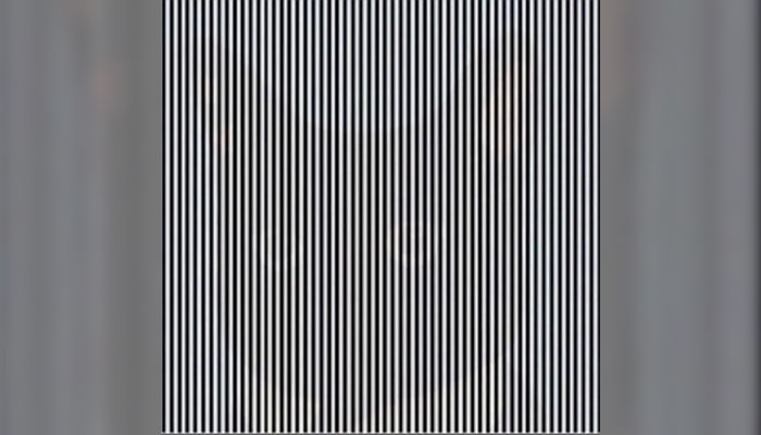 Dependiendo de cómo la mires, esta ilusión se parece a Ben Stiller o Beyoncé