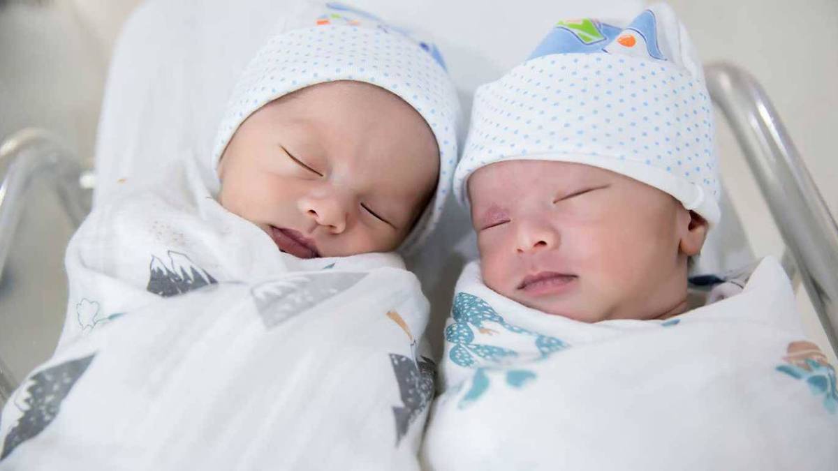 Gemelas idénticas criadas en Estados Unidos y Corea del Sur muestran grandes diferencias intelectuales