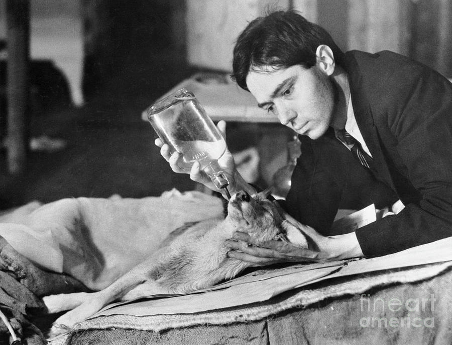 ¿Frankenstein en la vida real? La macabra historia de Robert E. Cornish