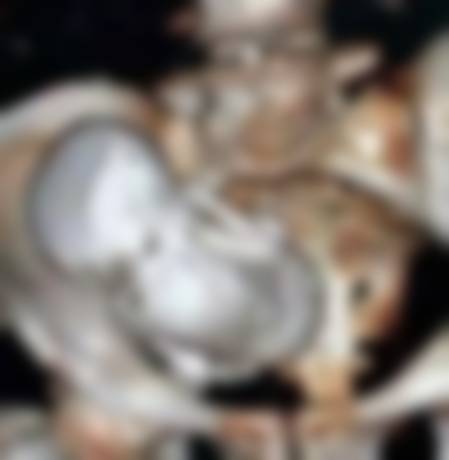 El curioso caso del bebé de piedra 2 -