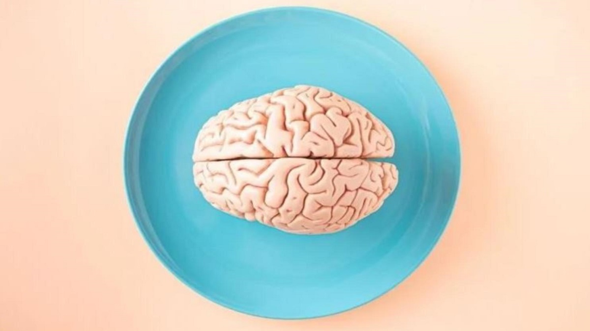 El cambio climático dio a los humanos antiguos cerebros más grandes 1 -