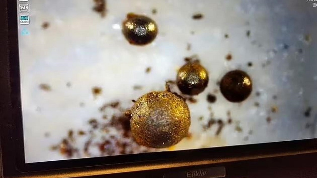 La existencia de extraterrestres podría probarse en 28 días 1 -