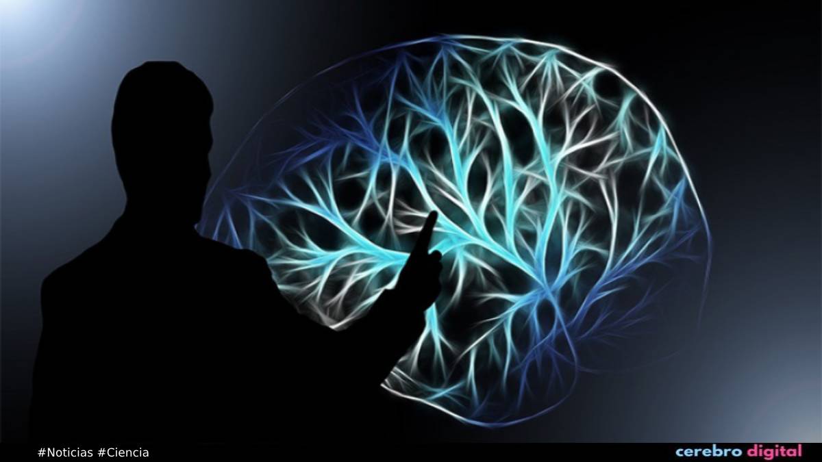 Inmortalidad: el nuevo objetivo de Sam Altman, el CEO de OpenAI 1 Inmortalidad: el nuevo objetivo de Sam Altman, el CEO de OpenAI