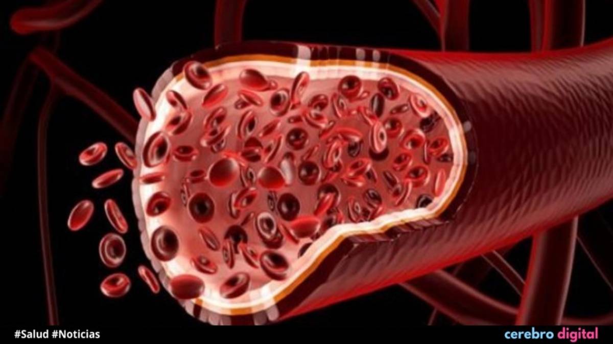 Vasos sanguíneos fabricados: Cada vez más cerca de su creación 1 Vasos sanguíneos fabricados: Cada vez más cerca de su creación
