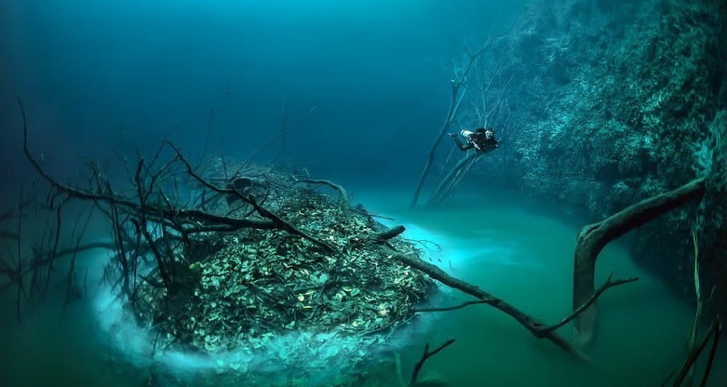 ¿Un río dentro de otro río? La impresionante belleza del Cenote Angelita