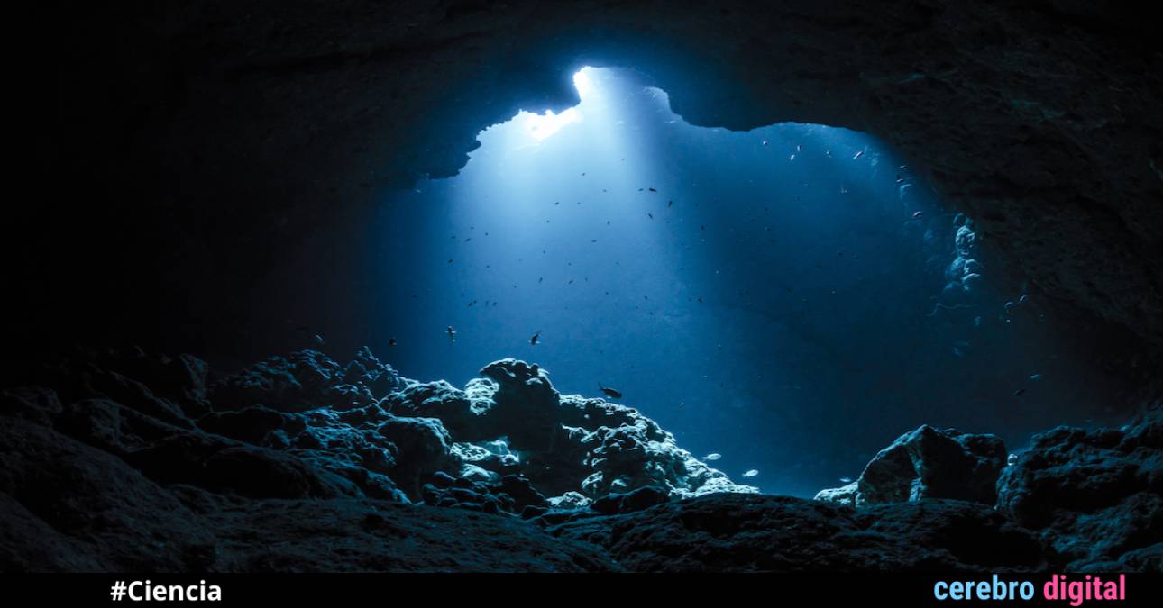 La Fosa de las Marianas: uno de los grandes misterios de la civilización 1 La Fosa de las Marianas: uno de los grandes misterios de la civilización