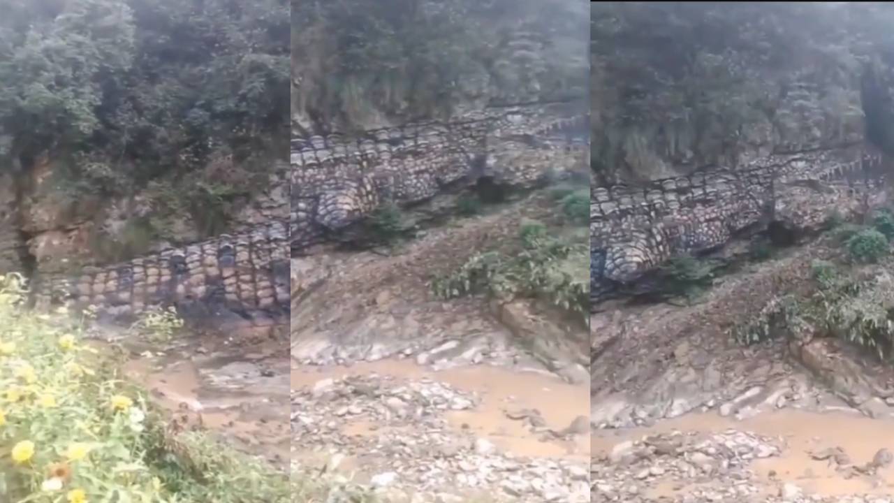 ¿Fósil o cocodrilo prehistórico? Extraña formación rocosa desconcierta a todos