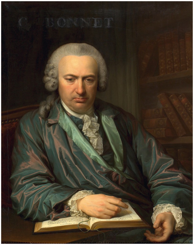 Síndrome de Charles Bonnet: visiones más allá de la realidad