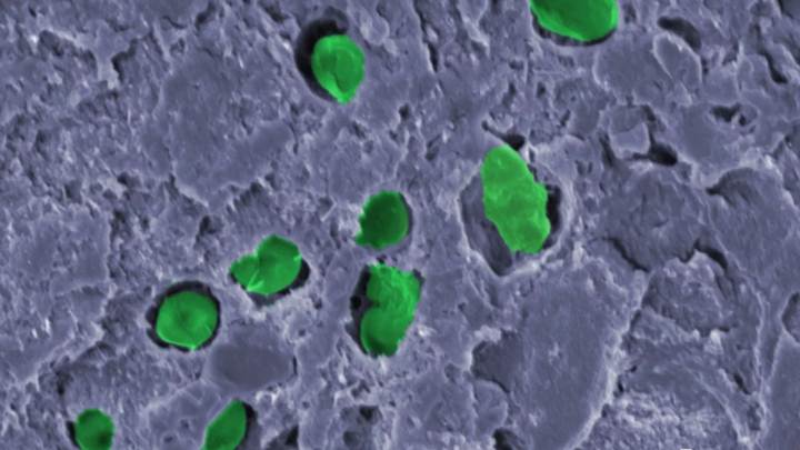 Científicos proponen una idea revolucionaria para generar oxígeno en Marte