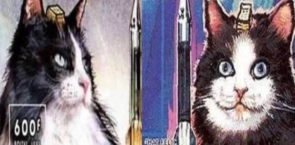 Félicette: la primera gata en ir al espacio… y volver
