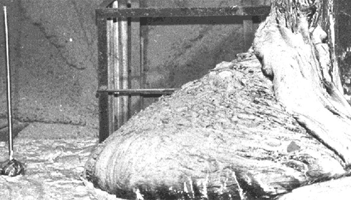 Artur Korneyev: Behind the "Most Dangerous Selfie" in History