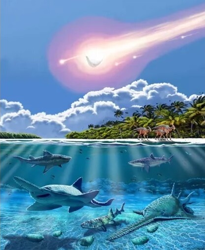 Los tiburones son los únicos sobrevivieron a las 5 extinciones masivas ¿Cómo lo hicieron? 3 Los tiburones son los únicos sobrevivieron a las 5 extinciones masivas ¿Cómo lo hicieron?