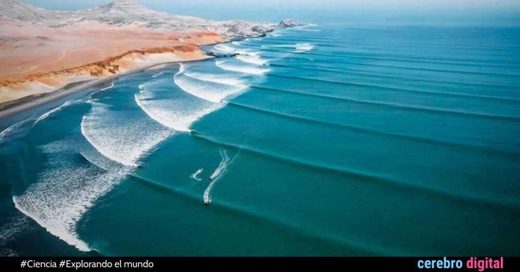 Chicama: la magnífica ola que es protegida por la lay