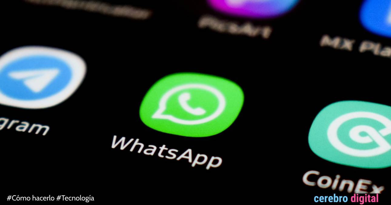 Cómo recupera fotos y videos de WhatsApp eliminados de la memoria de tu teléfono