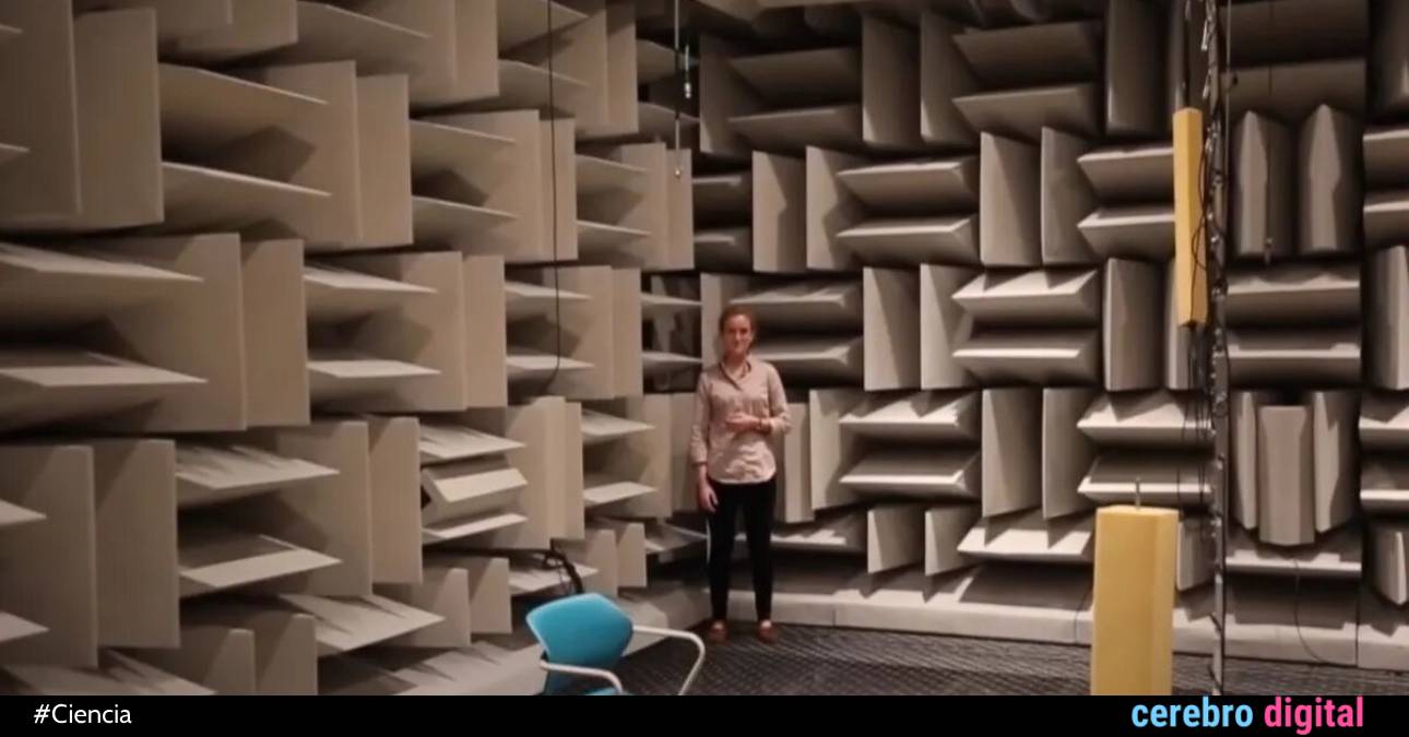 El lugar más silencioso del mundo: nadie resiste media hora ahí