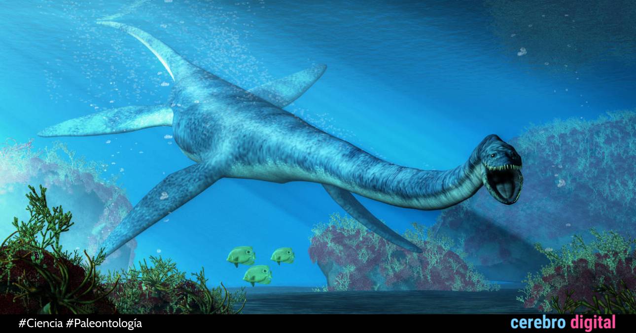 El megadepredador más antiguo conocido: el pliosaurio 1 El megadepredador más antiguo conocido: el pliosaurio