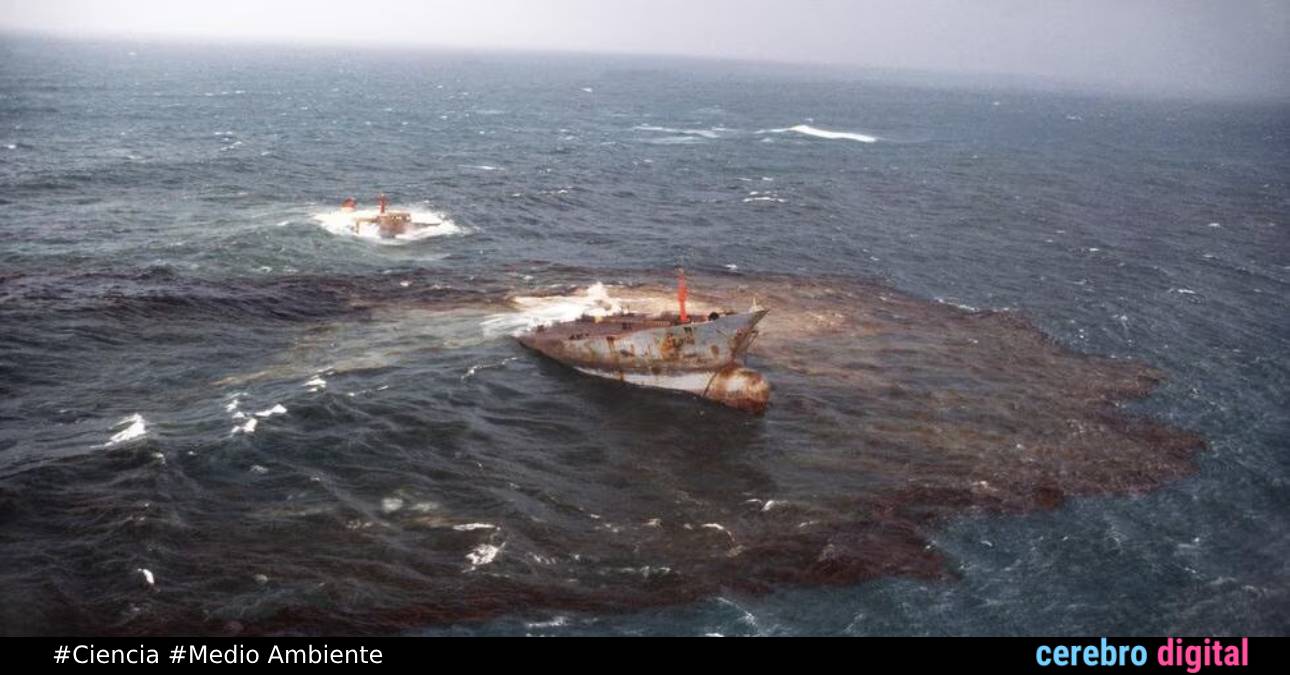 El Naufragio del Amoco Cádiz: más de 40 Años de la mayor tragedia ecológica 1 El Naufragio del Amoco Cádiz: 40 Años de la mayor tragedia ecológica