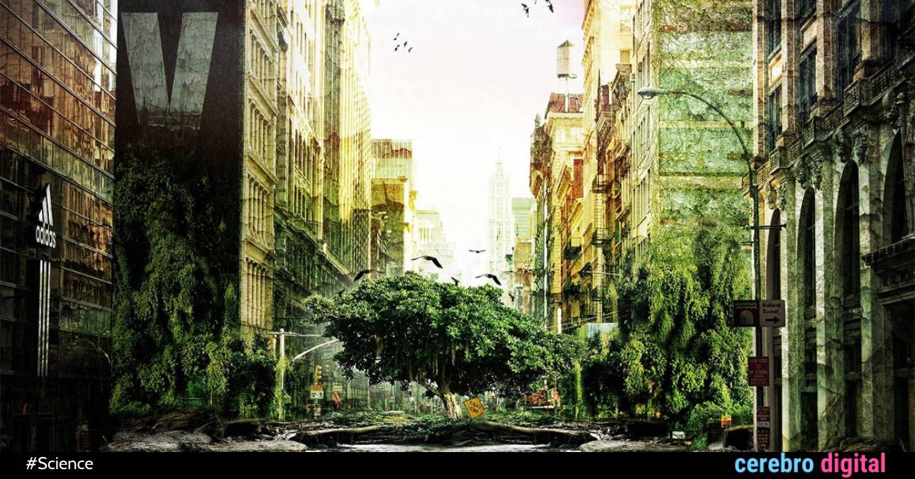 The Earth: What Would It Be Like If Humans Suddenly Disappeared?