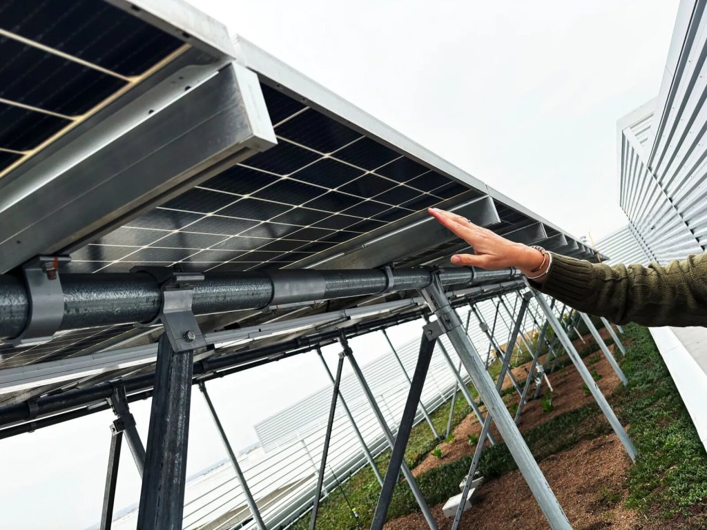 Granjas ultraeficientes: El futuro de los cultivos está en el cielo