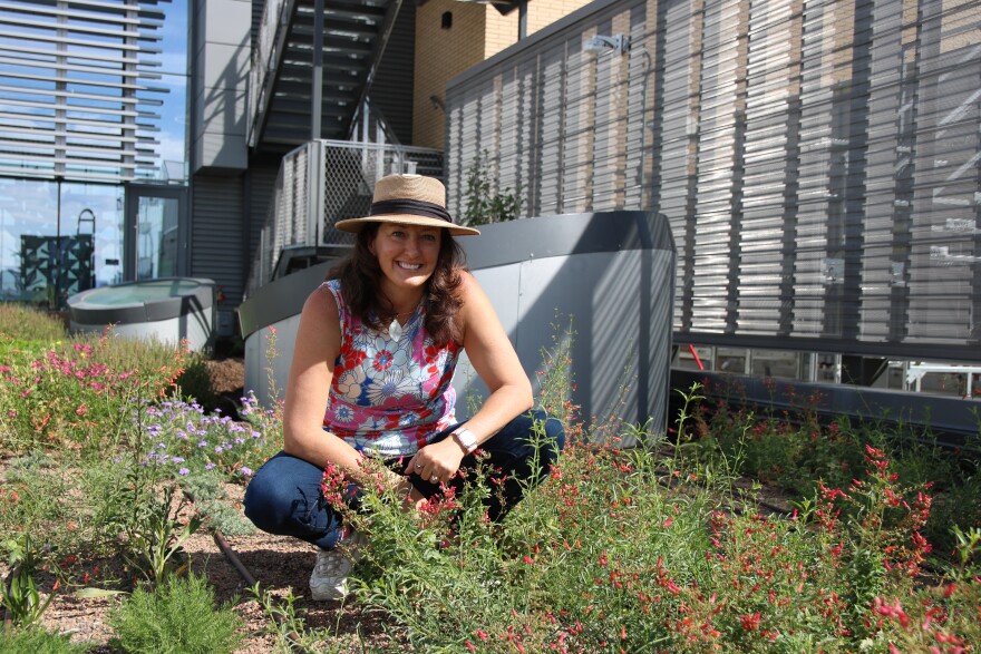 Granjas ultraeficientes: El futuro de los cultivos está en el cielo