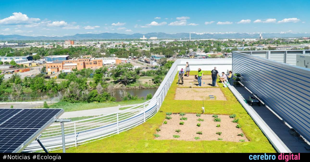 Granjas ultraeficientes: El futuro de los cultivos está en el cielo