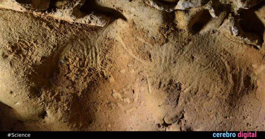 Neanderthals, Not Homo sapiens, Created the World's Oldest Cave Engravings