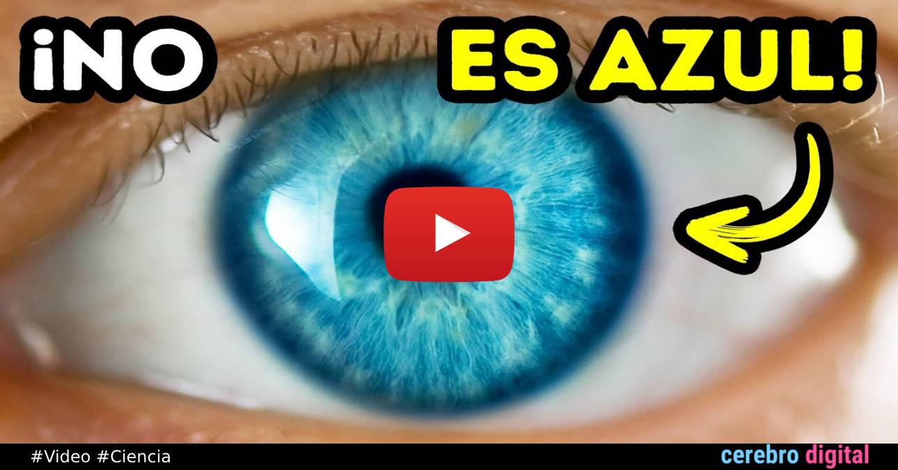 VIDEO: Los ojos azules realmente NO EXISTEN y este explicamos por qué
