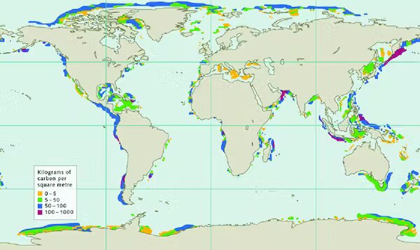El metano congelado en las profundidades se está derritiendo mientras el planeta se calienta… y es peor de lo que se creía