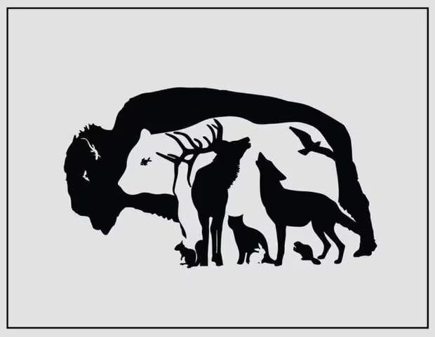 Desafío visual: ¿Cuántos animales hay en la imagen? 2 Desafío visual: ¿Cuántos animales hay en la imagen?
