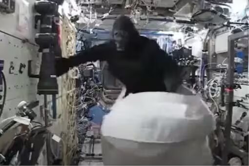Cuando un astronauta se disfrazó de gorila en la EEI y asustó a sus compañeros 2 Cuando un astronauta se disfrazó de gorila en la EEI y asustó a sus compañeros