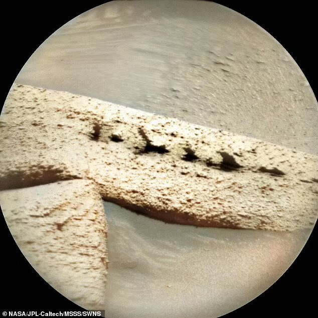 El hallazgo de la roca con forma de hueso en Marte: ¿un indicio de vida pasada?