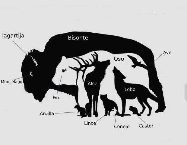 Desafío visual: ¿Cuántos animales hay en la imagen? 3 Desafío visual: ¿Cuántos animales hay en la imagen?