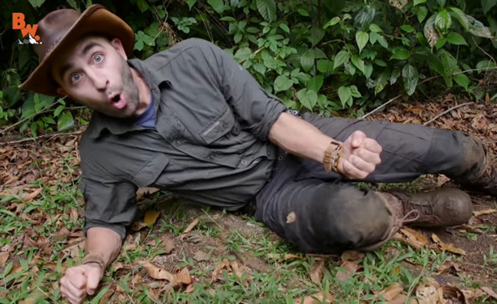 Así es la picadura de insecto más dolorosa del mundo