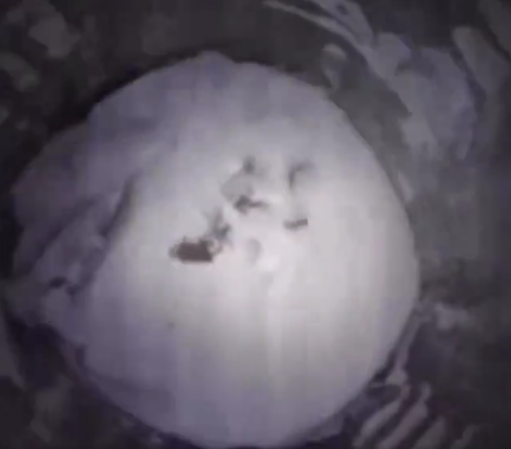 hielo más antiguo - hielo más antiguo