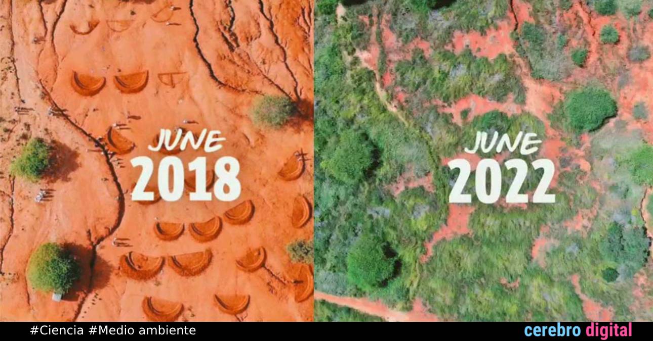 Agujeros que crean lluvia: el método revolucionario para combatir la sequía