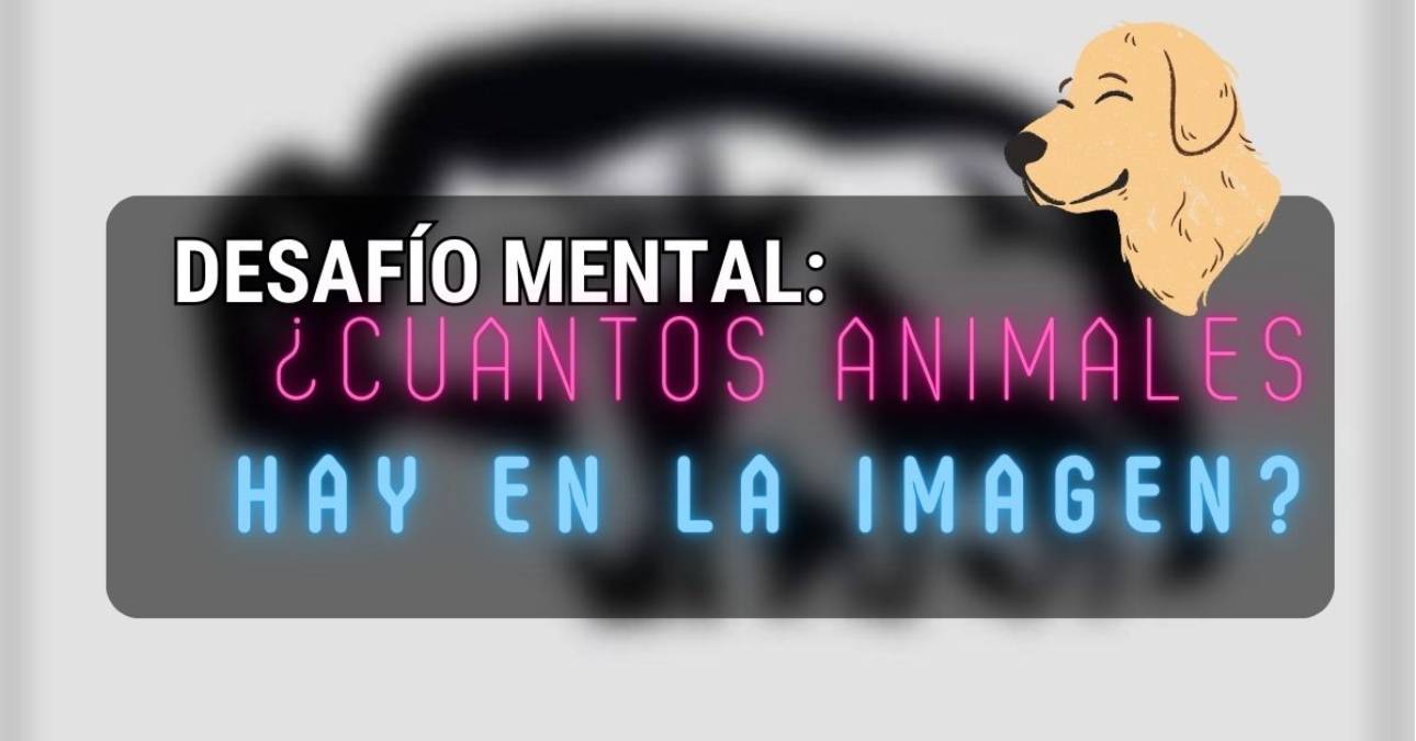 Desafío visual: ¿Cuántos animales hay en la imagen? 1 Desafío visual: ¿Cuántos animales hay en la imagen?