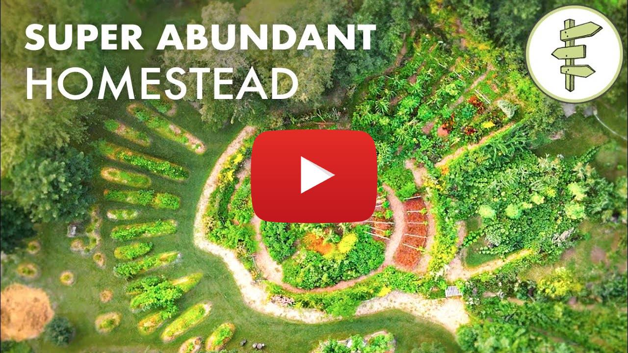 Familia cultiva el 90% de sus alimentos en una impresionante granja de permacultura