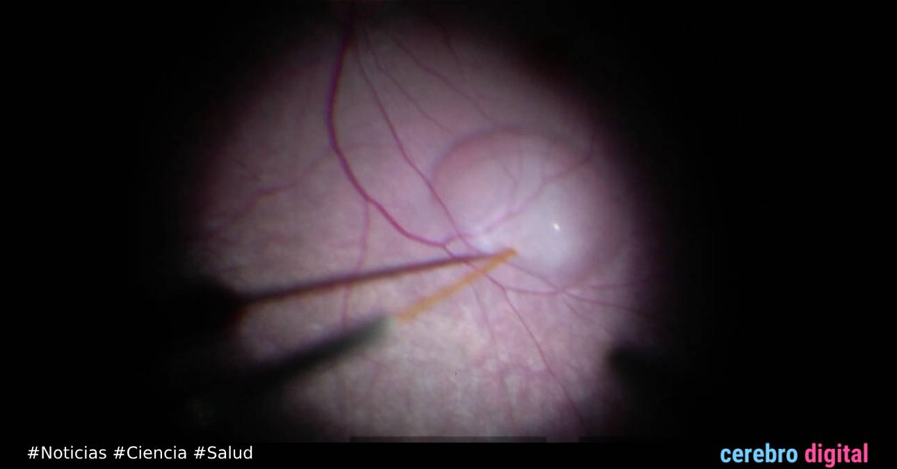 Primer tratamiento médico modificando genes es aprobado oficialmente