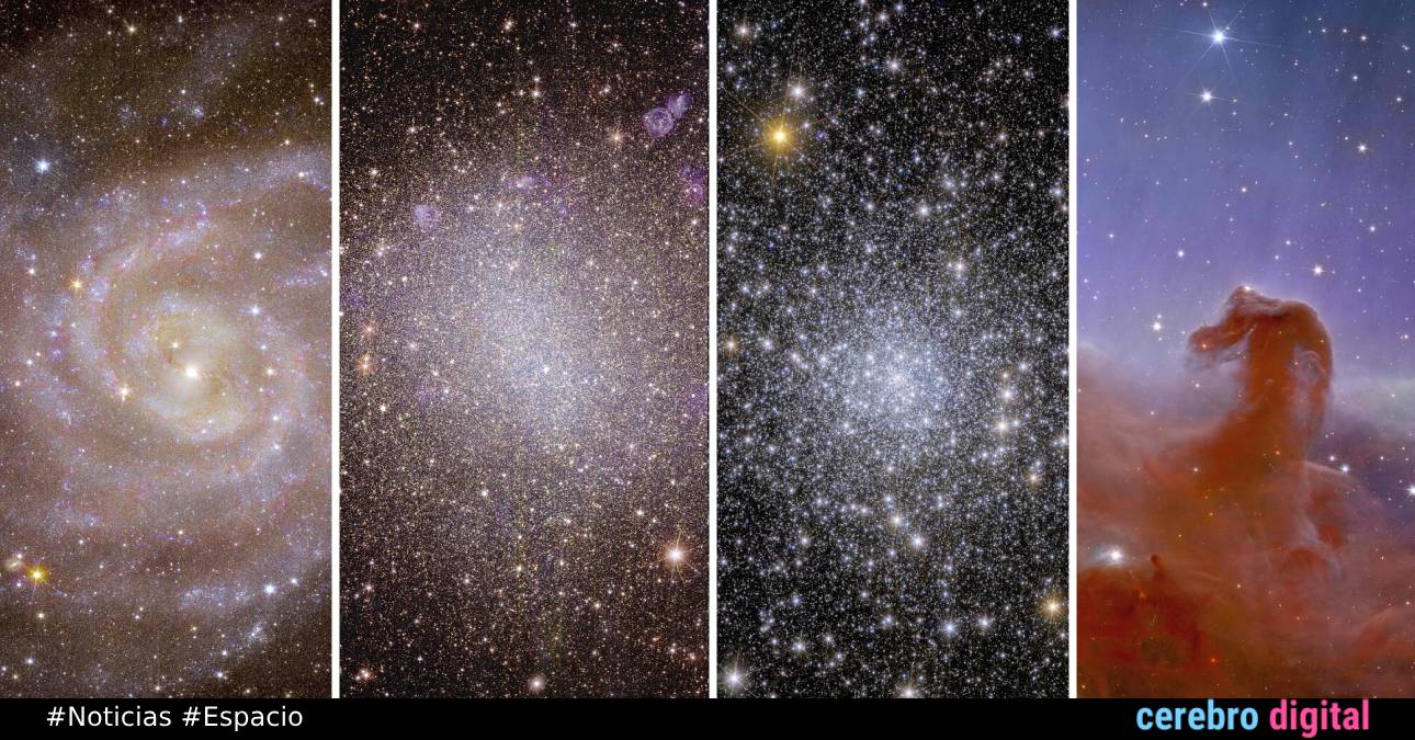 Primeras imágenes del Euclid: el borde deslumbrante de la oscuridad 1 Primeras imágenes del Euclid: el borde deslumbrante de la oscuridad