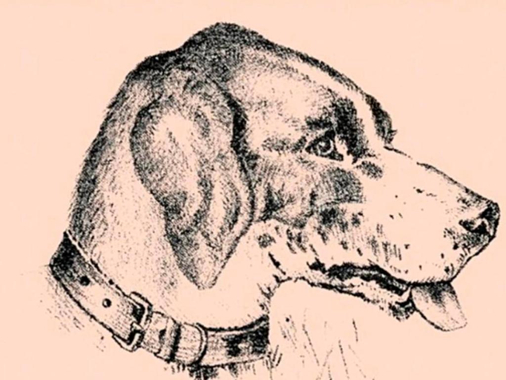 Nadie ha resuelto este reto visual en 140 años 2 Nadie ha resuelto este reto visual en 140 años
