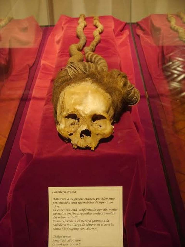 Cabellera de más de dos metros y 2000 años intacta y adherida a un cráneo de una sacerdotisa de Nazca