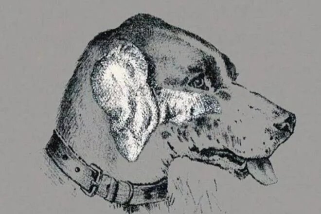 Nadie ha resuelto este reto visual en 140 años 3 Nadie ha resuelto este reto visual en 140 años