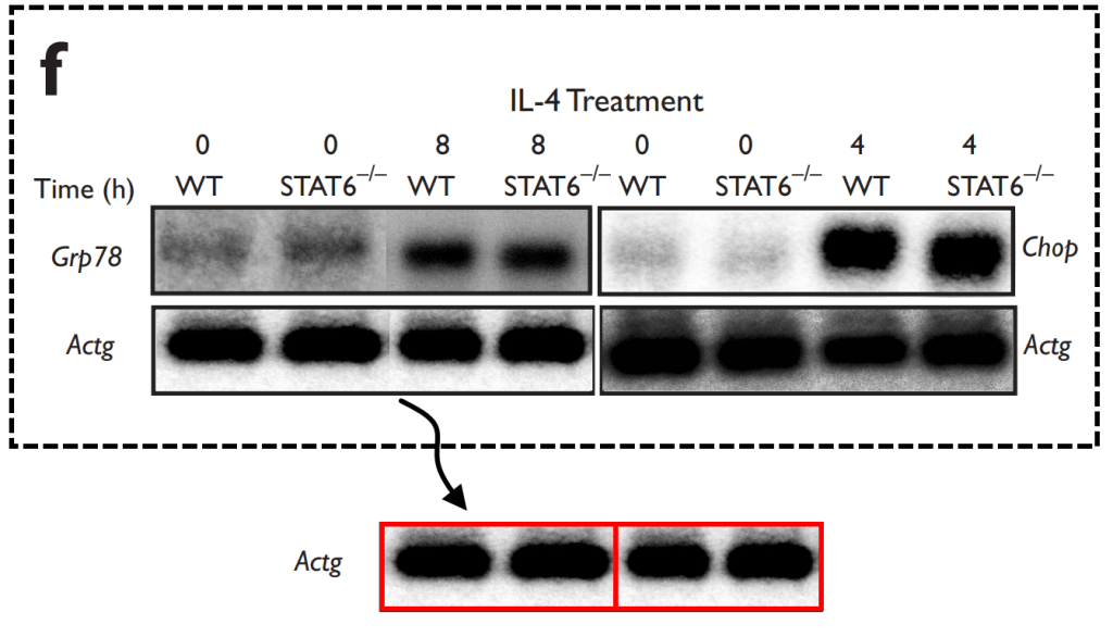 Investigadores principales del cáncer de Harvard acusados de fraude científico y hay 37 estudios afectados